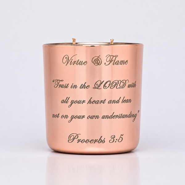 PROVERBS 3:5
